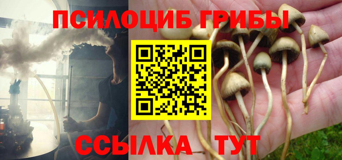 Псилоцибиновые грибы мухоморы Кинешма